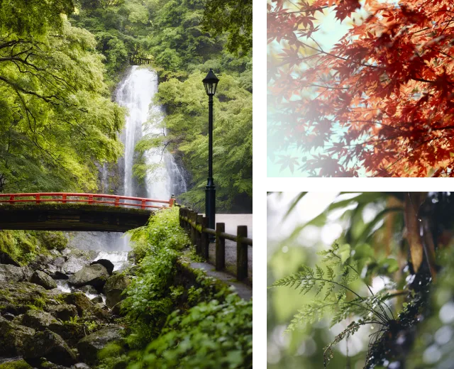 箕面大滝（徒歩35分／約2,740m）、箕面公園（公園入口まで 徒歩7分／約490m）