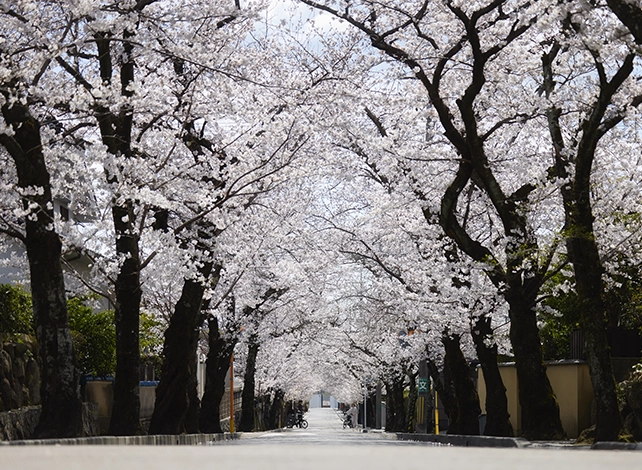 箕面動物園（当時の写真）