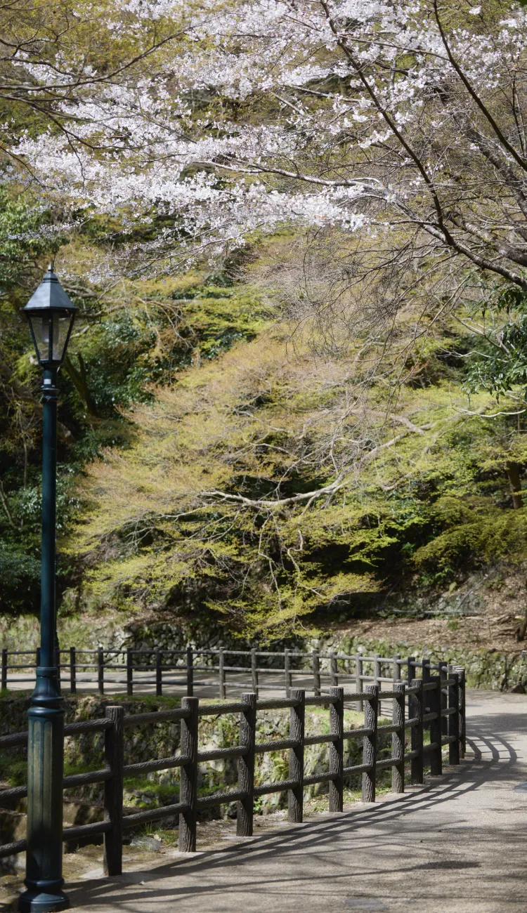 箕面公園（徒歩7分／約490m）