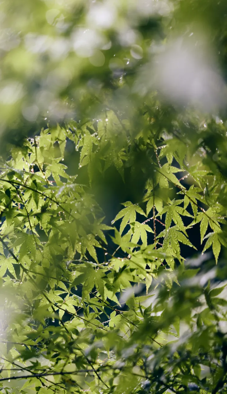 箕面公園（徒歩7分／約490m）