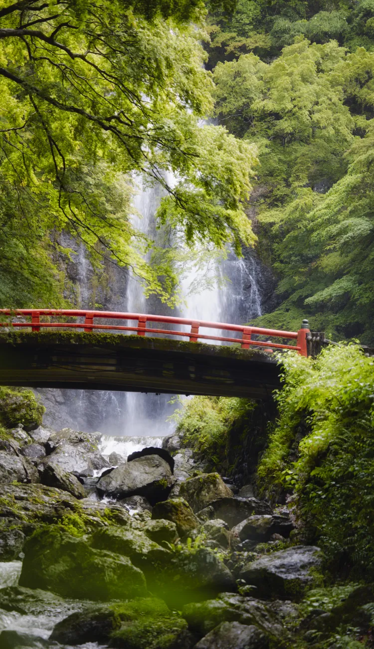 箕面公園（徒歩7分／約490m）