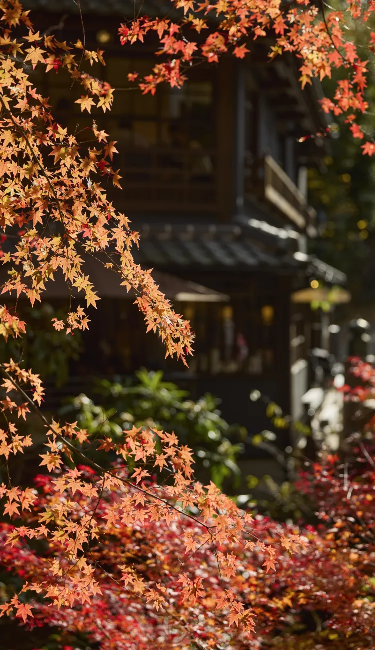 箕面公園（徒歩7分／約490m）