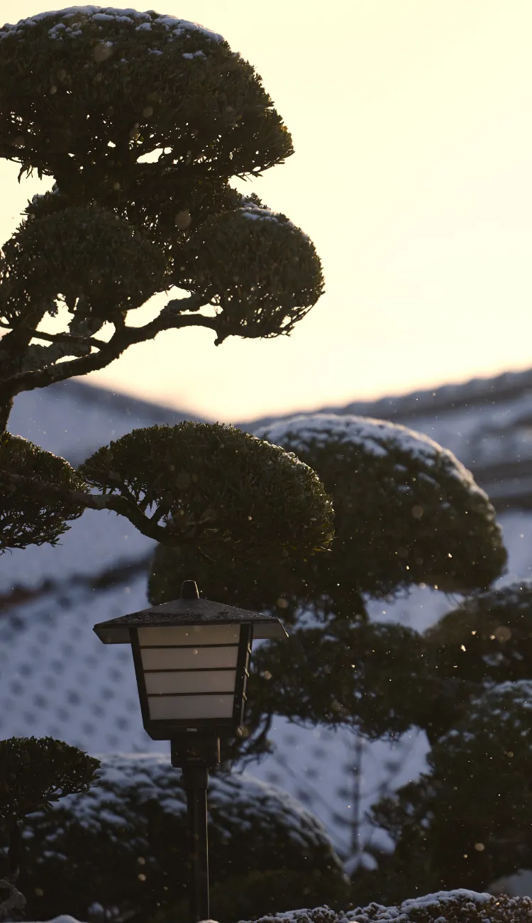 箕面公園（徒歩7分／約490m）