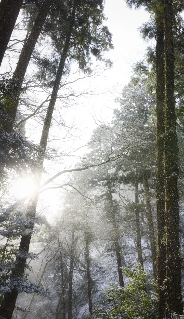 箕面公園（徒歩7分／約490m）