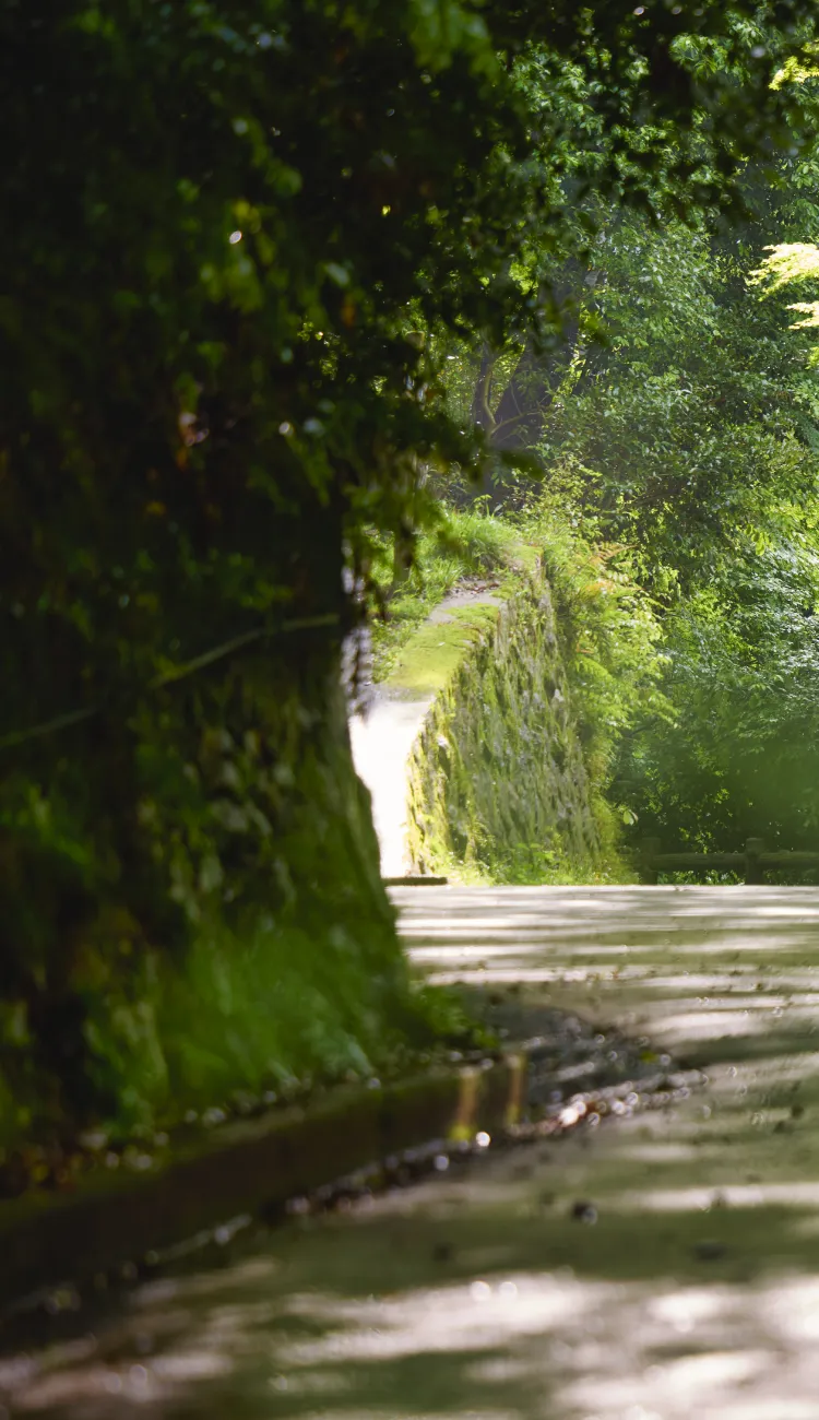 箕面公園（徒歩7分／約490m）