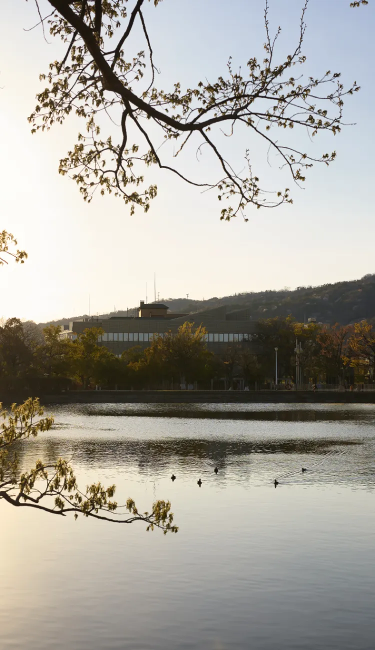 芦原公園（徒歩8分／約600m）